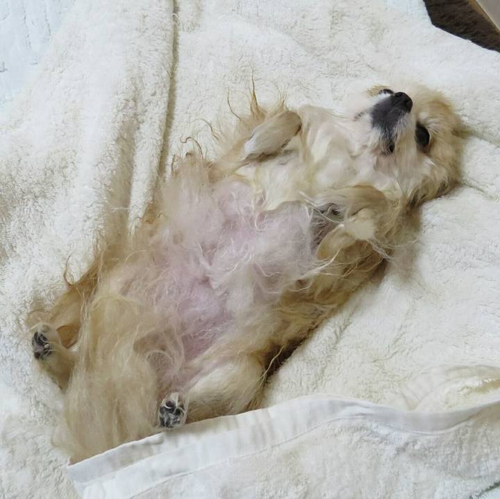 D679135c 3c14 462e a5f1 45e0f4394316