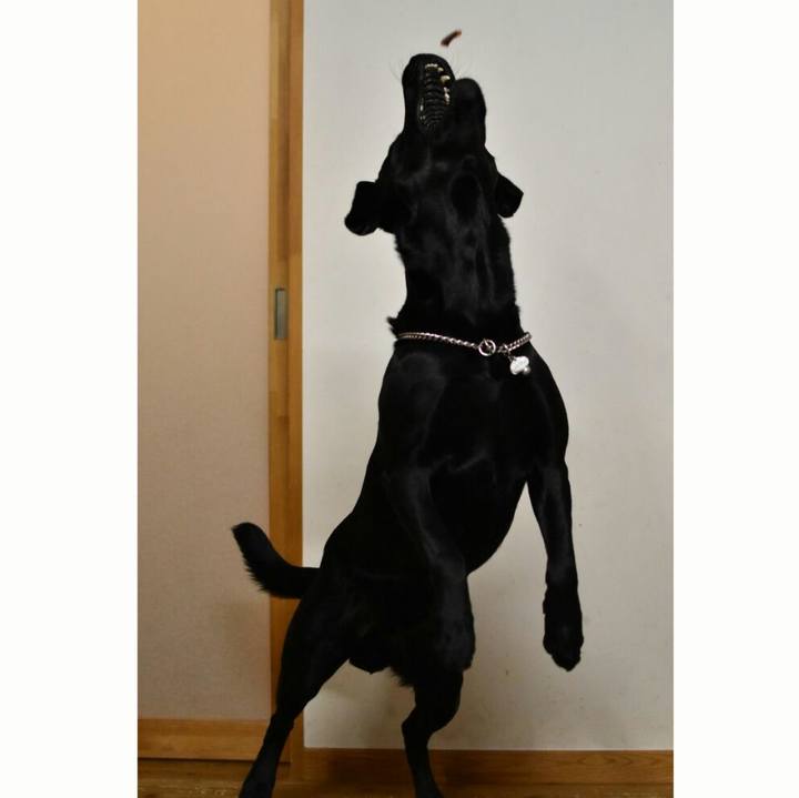 D679233d da91 4944 9da1 63095c8ae3c7