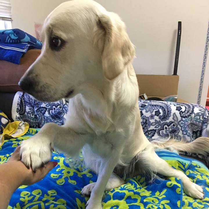 D6796f02 e3cf 4656 a7cc 02cd6536d7fd