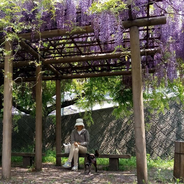 D6798622 5d1f 4002 88ad efc408debb73