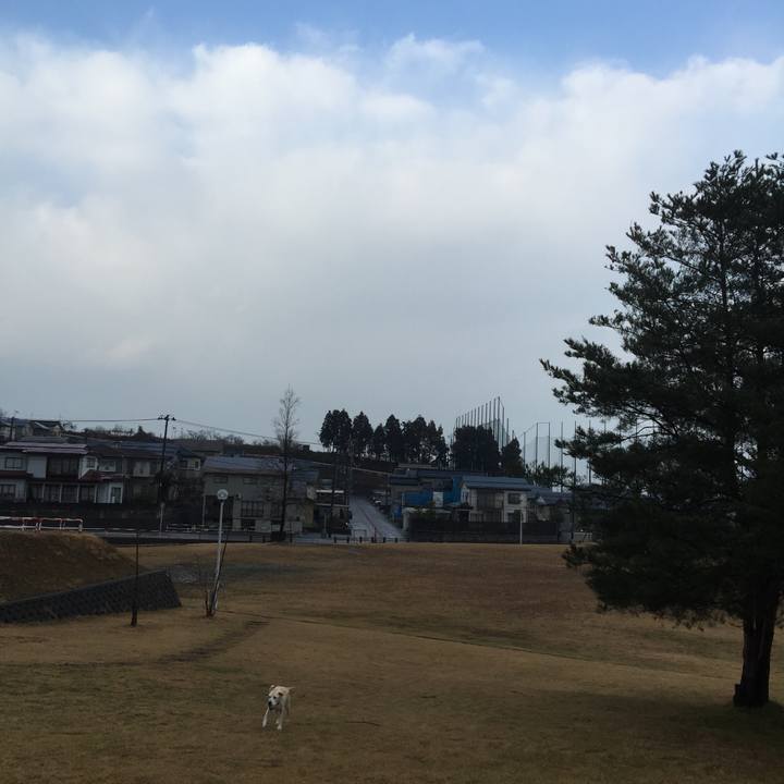 D679e915 4530 4d25 ab26 728d5e85d4f6