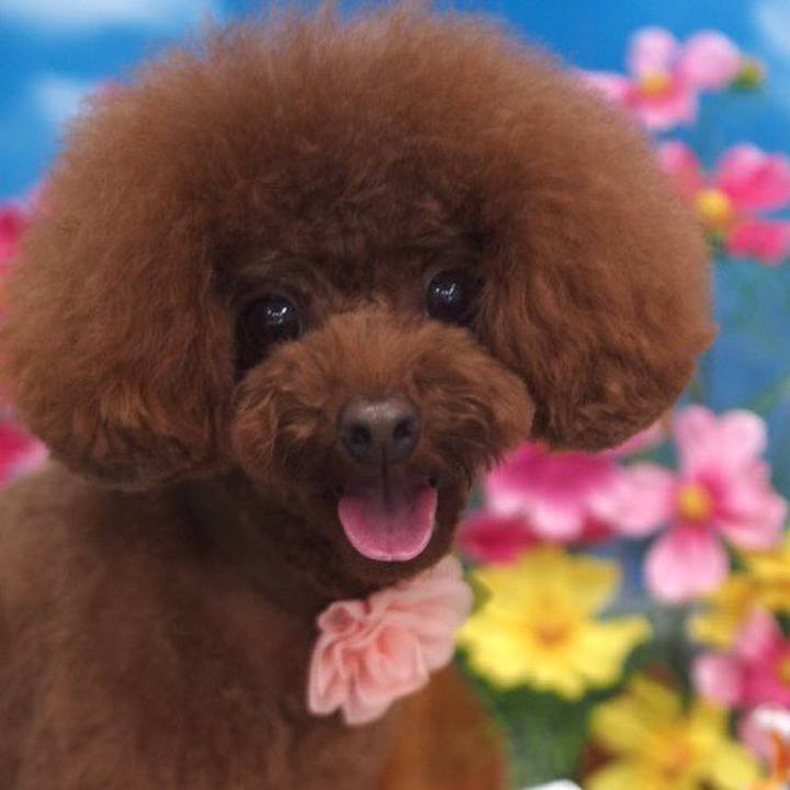 D67a2146 f6b0 4d89 9c2b a38b7d7e8b22