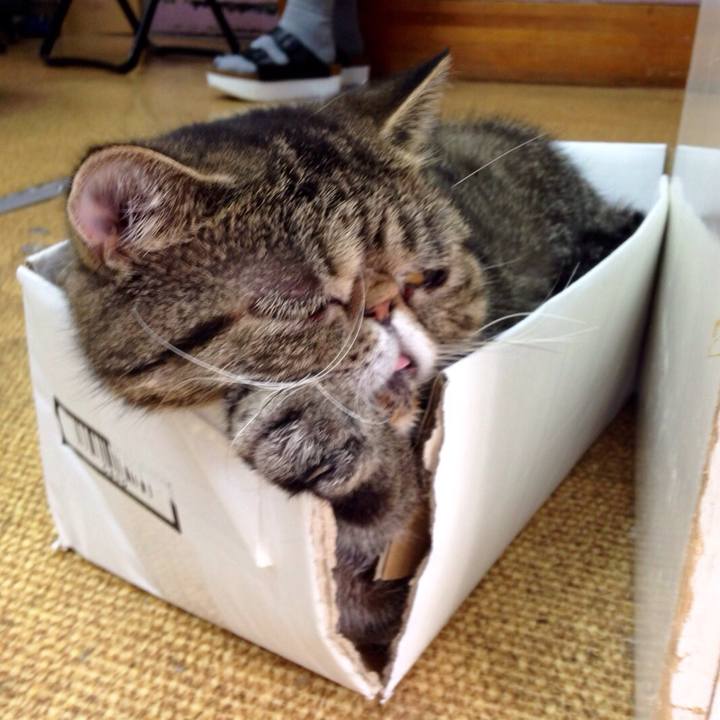 D67a988b fdda 46eb 9262 e9a5e5364f77