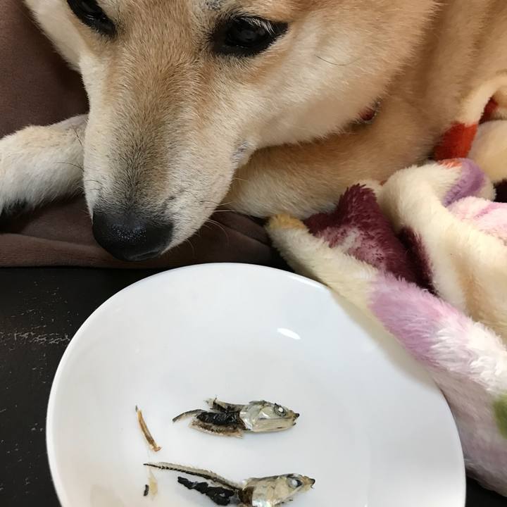 D67ae096 7bc4 4da8 b4ef c916ce0cbd76