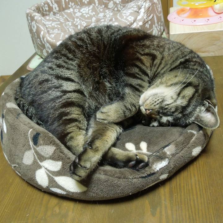 D67b3550 63ab 44de ac4b b31b845bb3c6