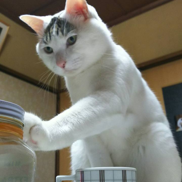 D67b6244 7d3d 41aa a00a 2dee49b6d4d7