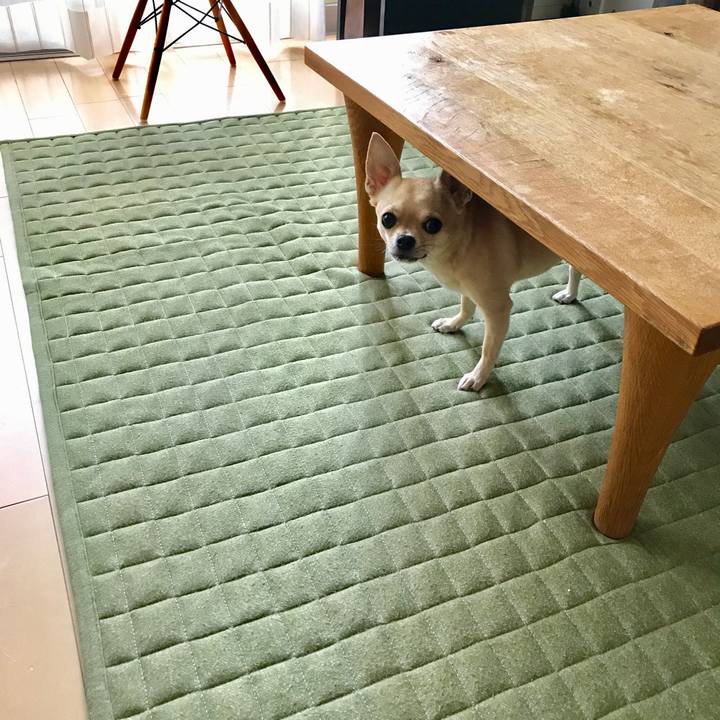 D67bb32e e80e 4463 942e 63967532a16e