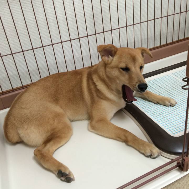 D67bce03 b200 4550 87b0 4507ff192a62