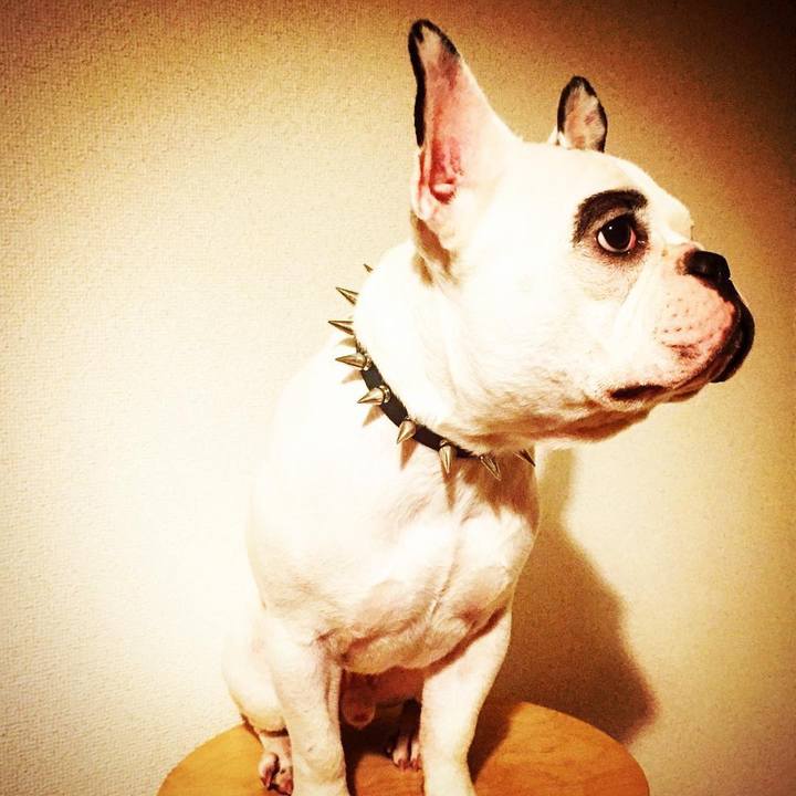 D67bd2d6 6824 404d b9af 1eecd8bec369