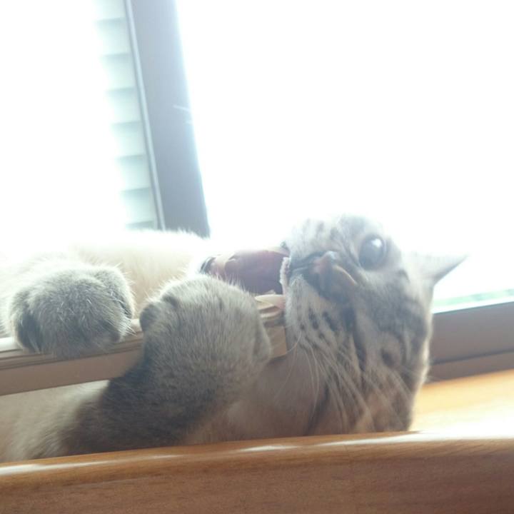 D67cd37f 6117 4192 b185 74b742e0eac8