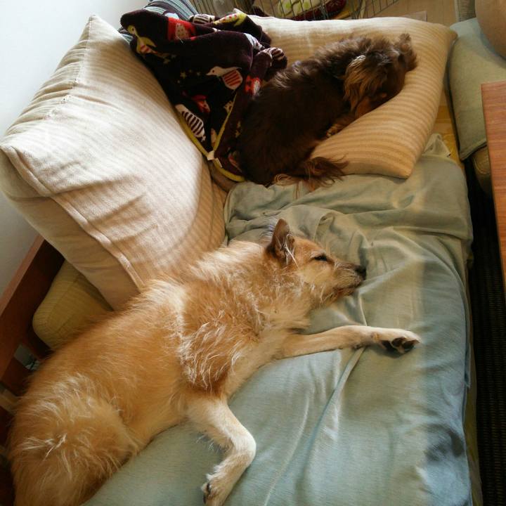 D67cdb05 904d 4e4c 85a2 e427847b5128