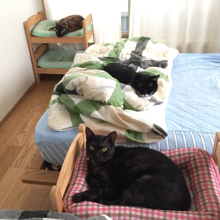 D67d2628 f3b5 40e3 88b9 1f5128160f6f