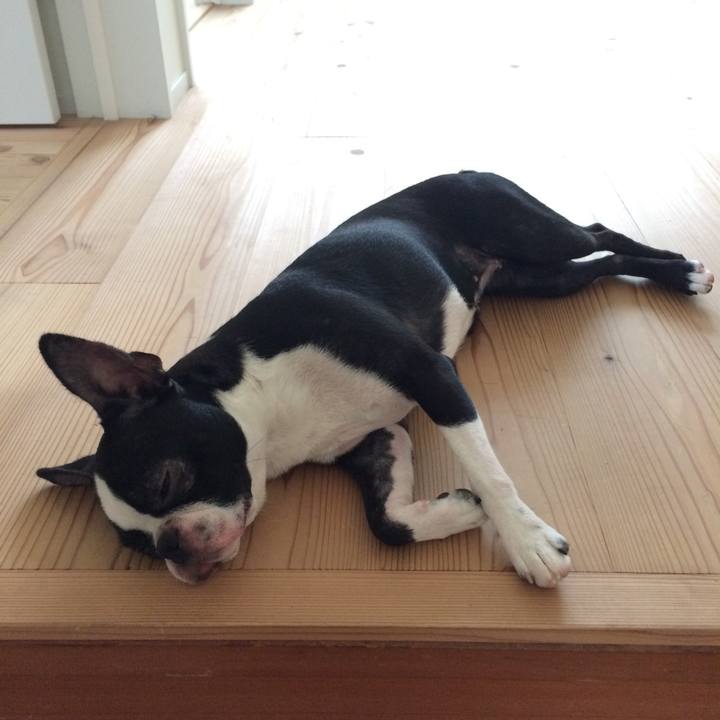 D67d5569 27d0 4474 babc 5736b525e5f2