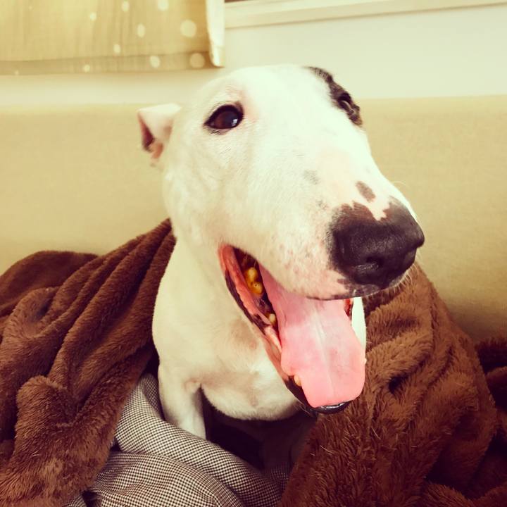 D67d67f3 ecd7 443d 9a16 17232f31efe8