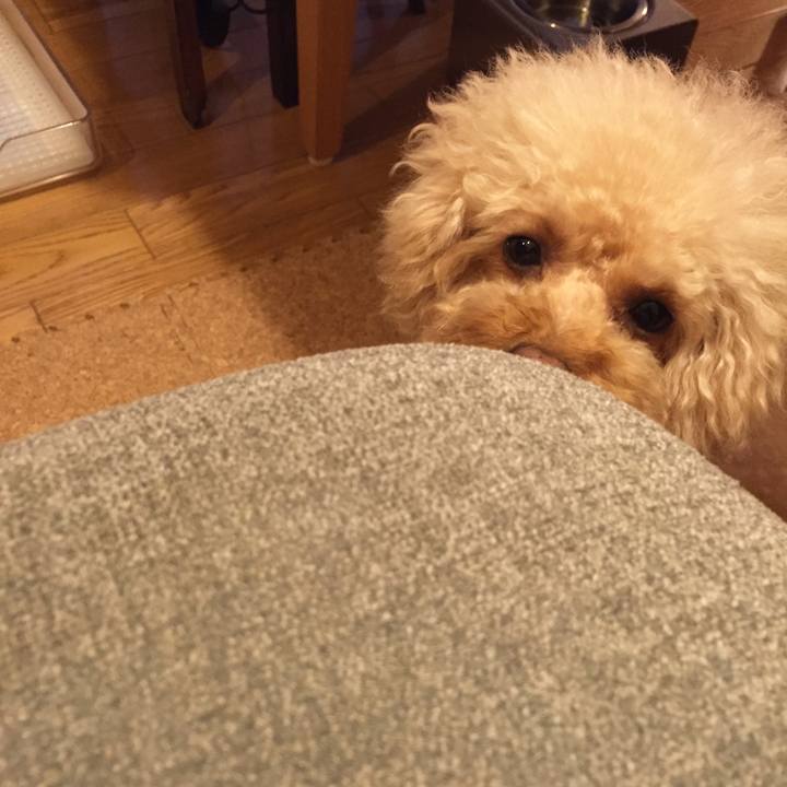 D67da7a5 9a9f 4a09 8b7d c6d7c82ba76f