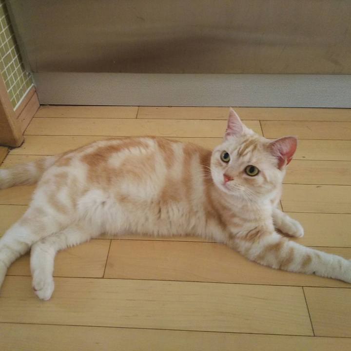 D67db6e3 3c5a 45cf b6d2 69af2577024c