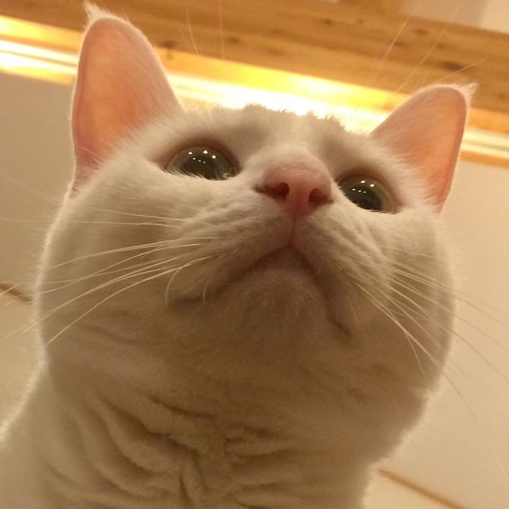 D67e8bb9 5b60 42b3 b520 c30dbe8905e5