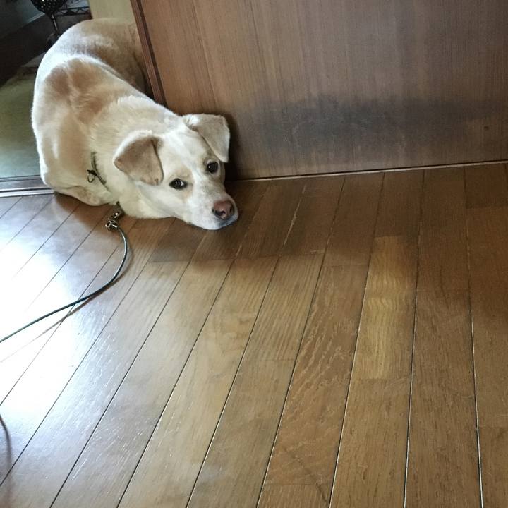 D67efb85 eb00 4c7d a04a a43c3340e80a