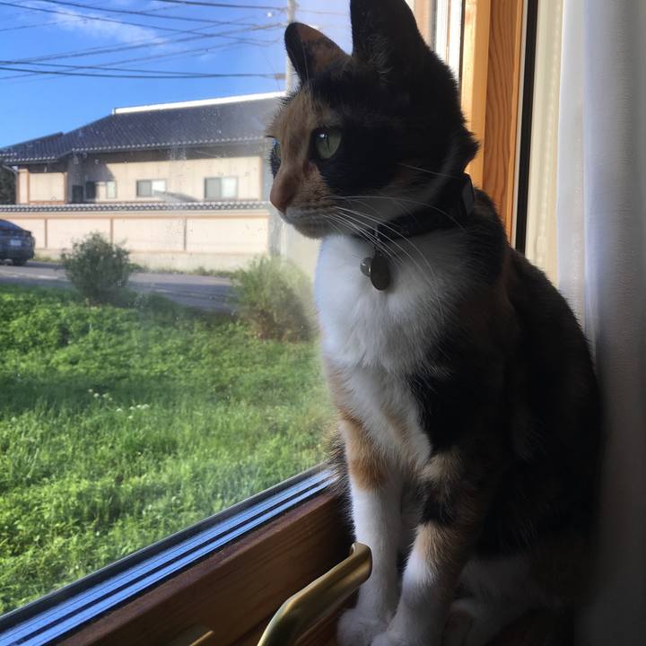 D67f4562 ba1e 4ecc afbb 8d73246c5a31