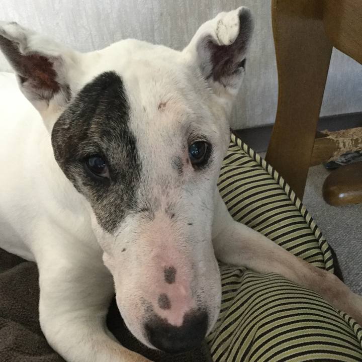 D67fb9a0 44f9 4f25 850b 0da7ce2eaff5