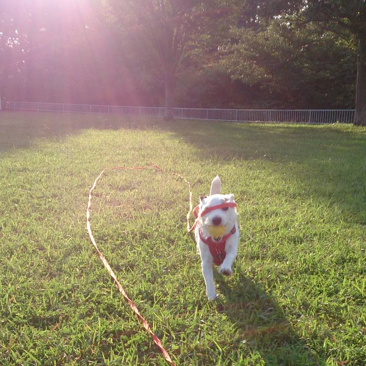 D67fce4b 79a7 4ac3 a7d4 976006f562d6