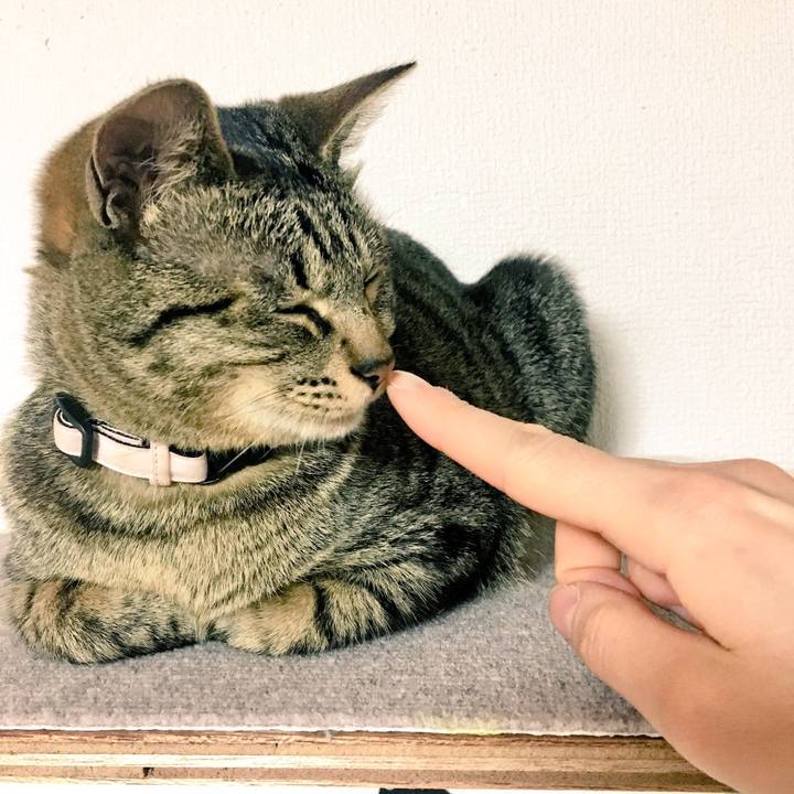 D6806eea 10c2 426e 84fe 9025846ea46f