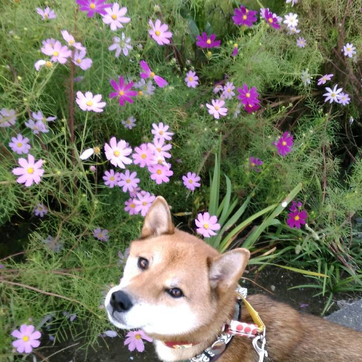 D6808518 f965 4307 9613 6d2c813947d8