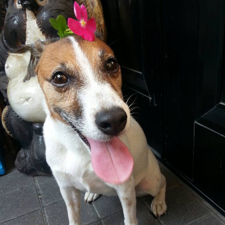 D6809f42 c4d2 472c 9c10 261ef9594e8c