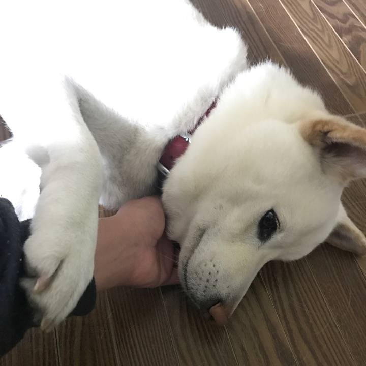 D680cc60 5f37 4d0d b701 a9cfad604e5e