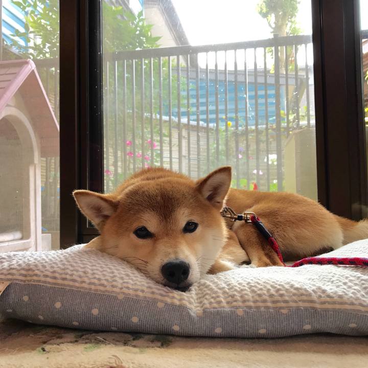 D680ec9e d2b8 4a50 87db 19a4c72b9f79