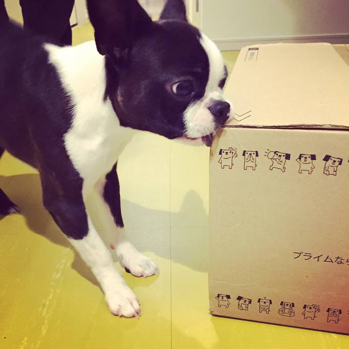 D68190d8 62ad 48eb 8074 c9bed0b0810c