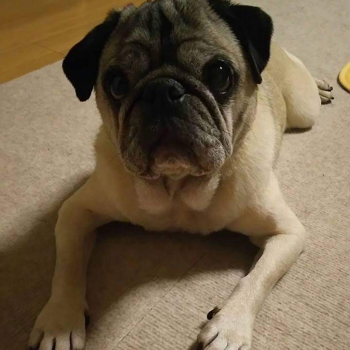 D681ae45 8971 4dbb a179 f58186cbdfd6