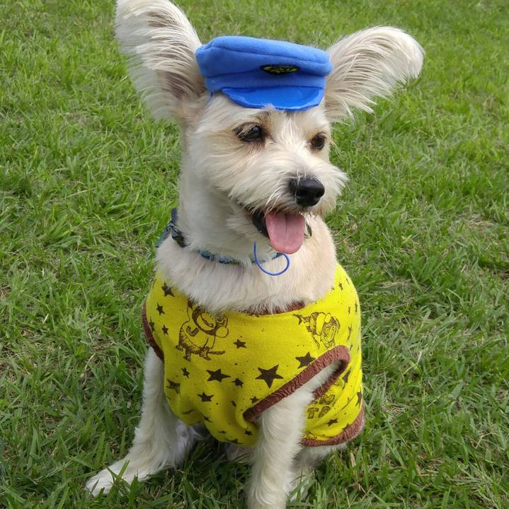 D681ae58 d59f 492c b1df 3c6f652d9035