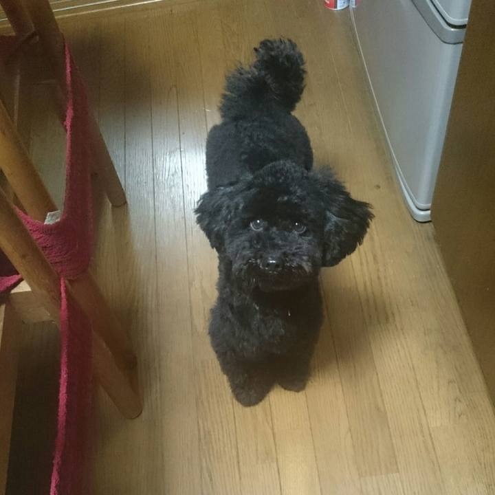 D681b061 3792 4918 b854 d60dee40e486