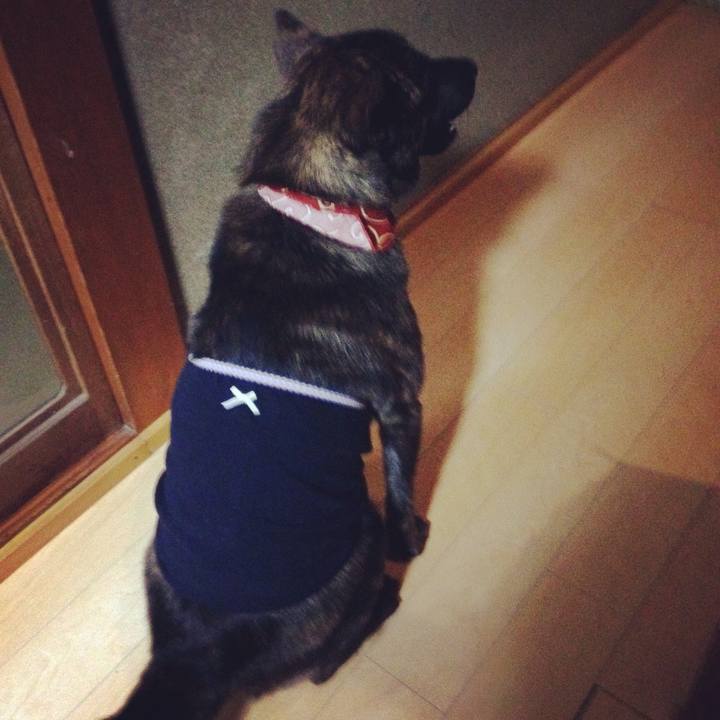 D681b31c 0d00 462b b835 53401098cbba