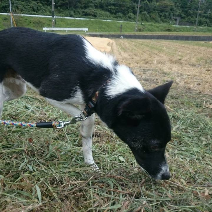 D681b7e4 465f 4210 a80d b4c05c0fabce