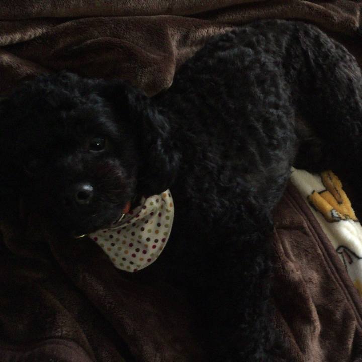 D681bb8c ad32 4bec 8e7c 5d2d7b716d2e