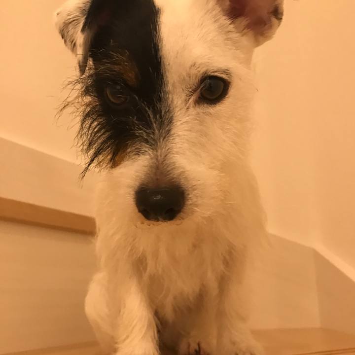 D681c1f0 9f78 4b58 85de 1405520d8f1c