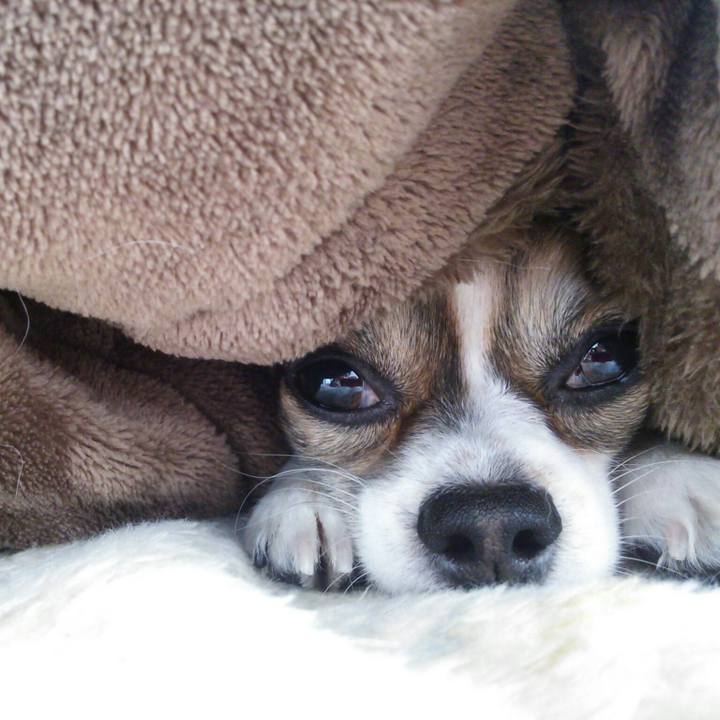 D681cdde 5bc1 4f53 b208 984e92f00592