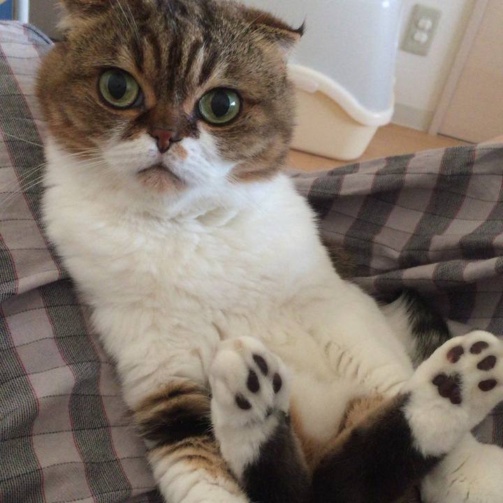 D6837892 5a0d 4c8b 8e1b 3b31f81af18b