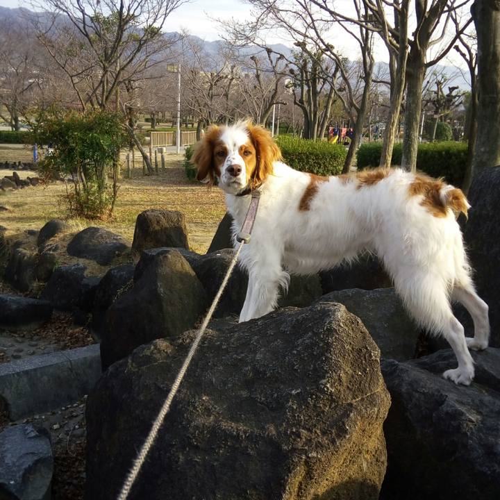 D683bd0b 467f 41d7 8e4d e515108c711b