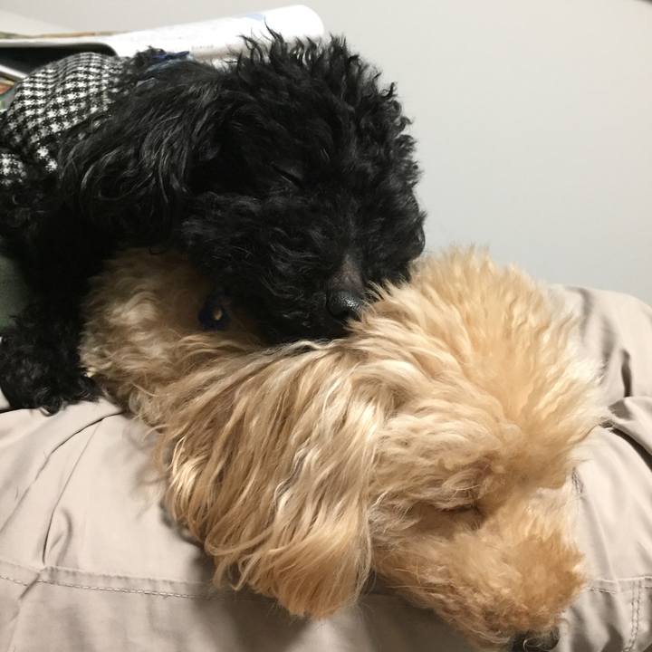 D683e462 6b3d 4d5e b90b d5fb42248981