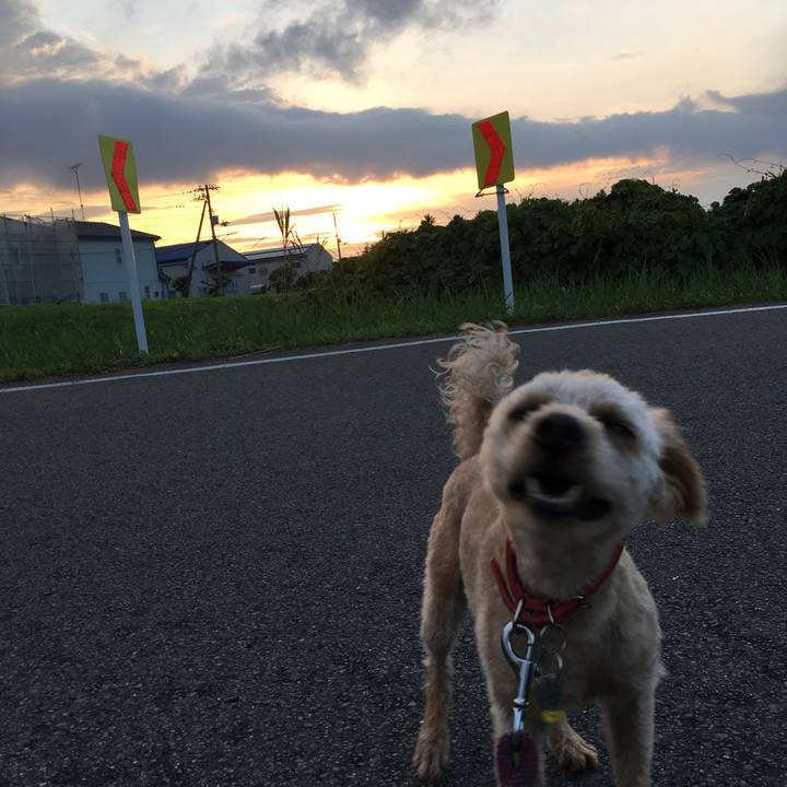 D6848f05 82d0 4287 ac3c c4bac461be83