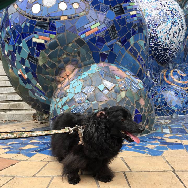 D6849913 f163 46d7 9637 1d9450740d7e