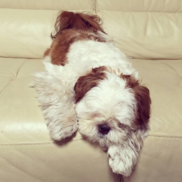 D6851e8d 3d0c 4b6c 90bb 0bec126527f2