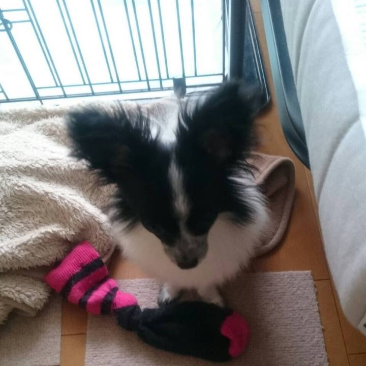 D6857b01 7927 4c7d 8a4c 5f797e124b39