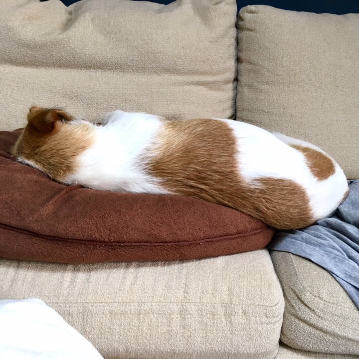 D685c3ab e828 41e2 8121 aaa8afdf4675