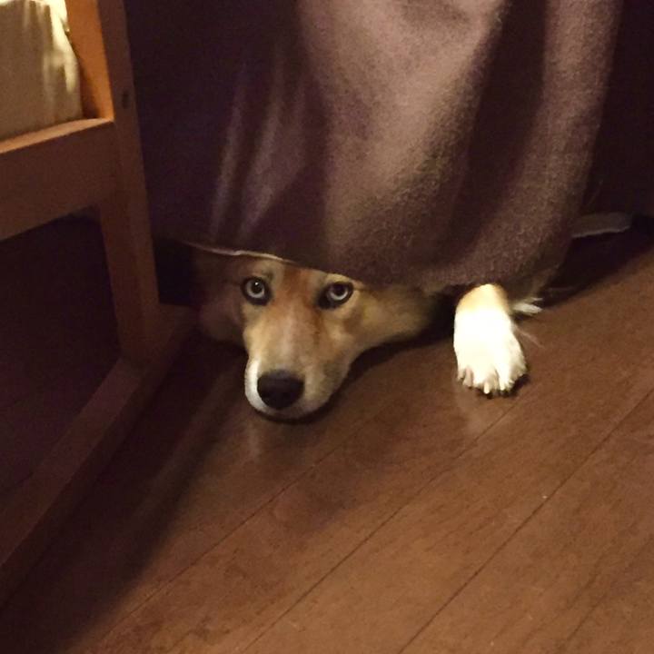 D6862067 c239 466b 8de8 01420f9c8f06