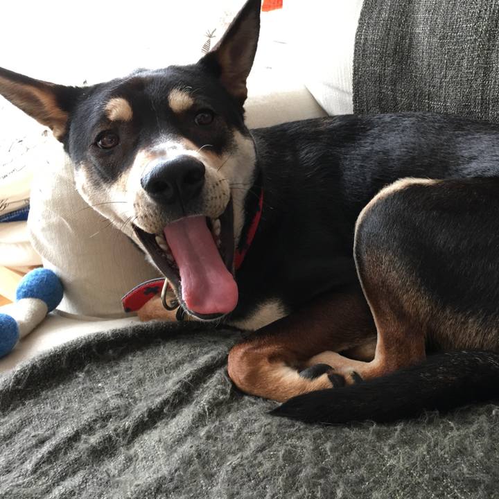 D6864128 d1f9 4637 87c9 370bcdb26aa2