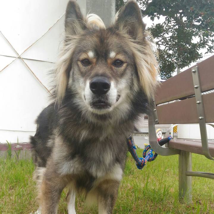 D6868a04 5163 4123 9abe b12857c1bd0f